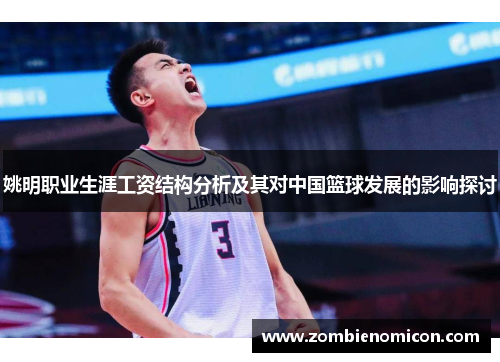 姚明职业生涯工资结构分析及其对中国篮球发展的影响探讨